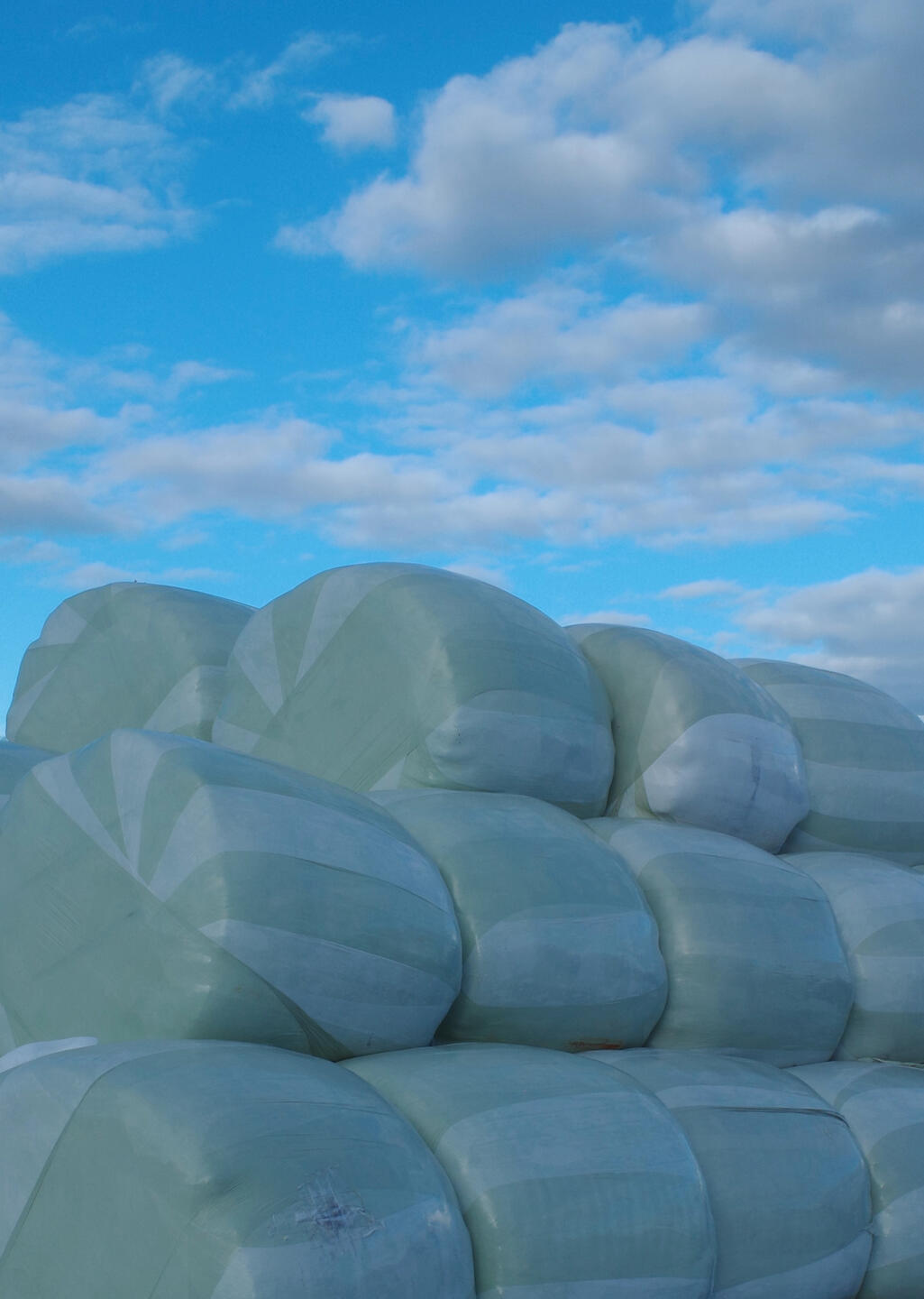 Project Name View on Behance →