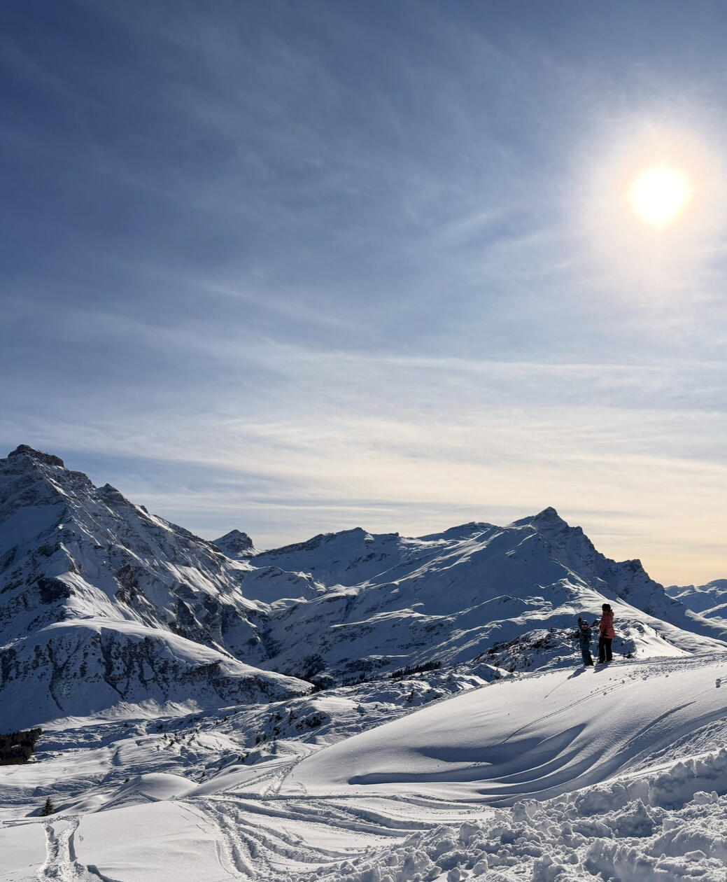 Project Name View on Behance →