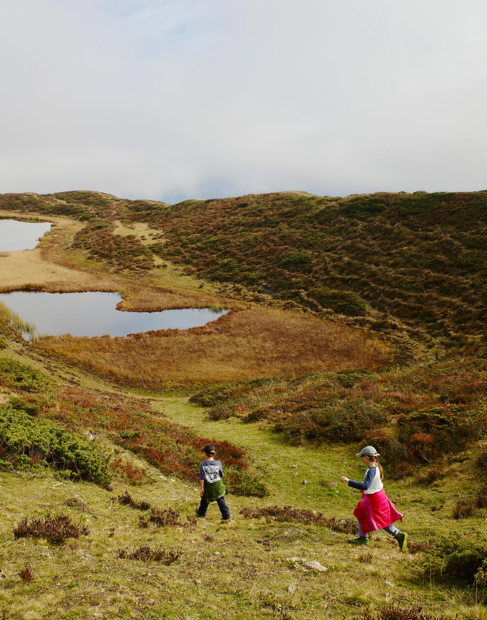 Project Name View on Behance →