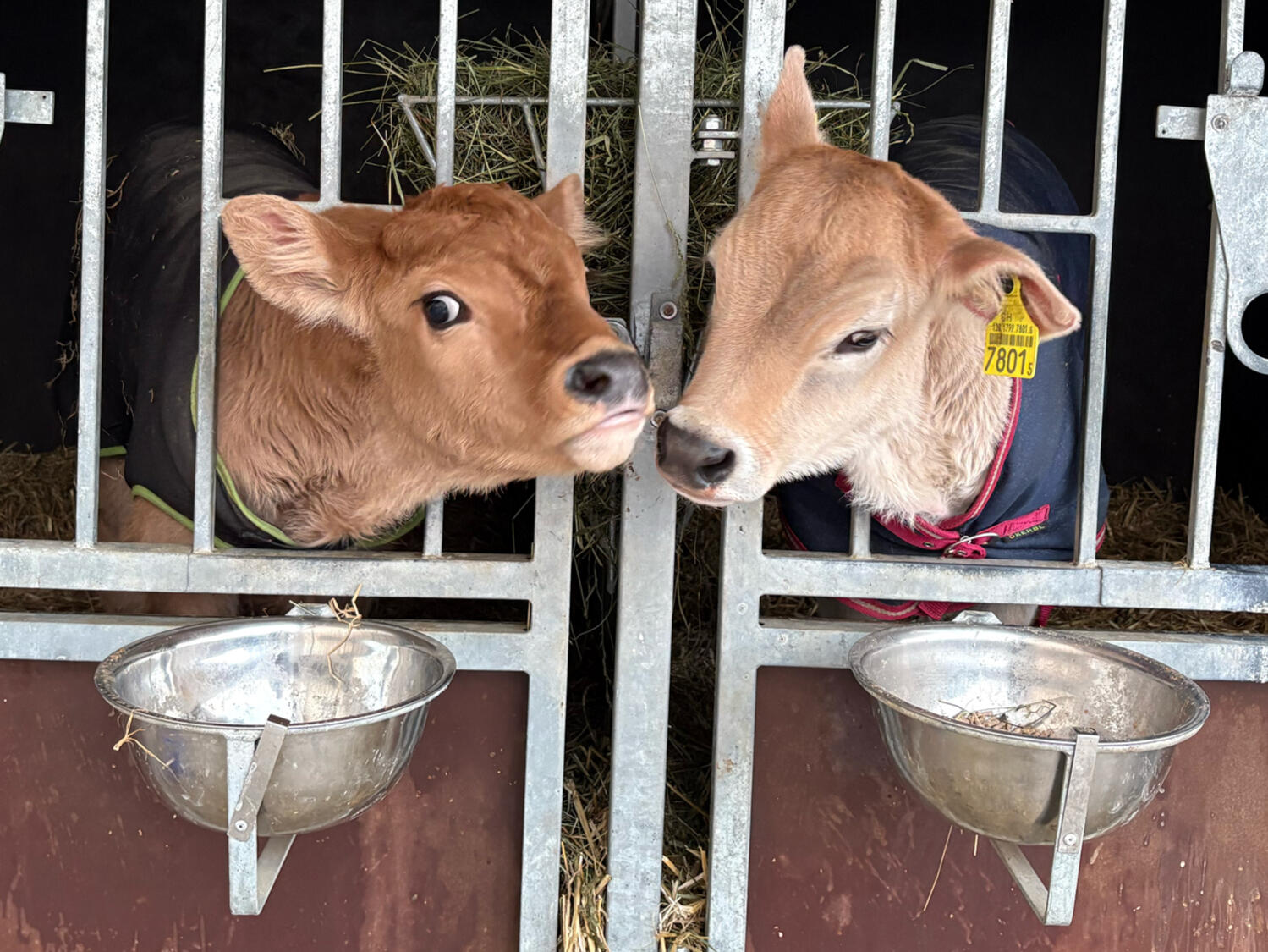 Project Name View on Behance →